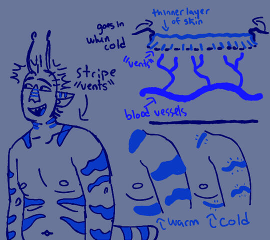Lithurnian species development - Alien species in my Sci Fi universe