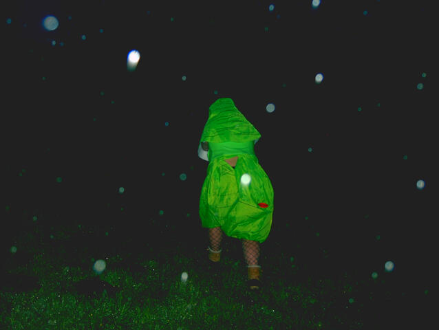 a fairy